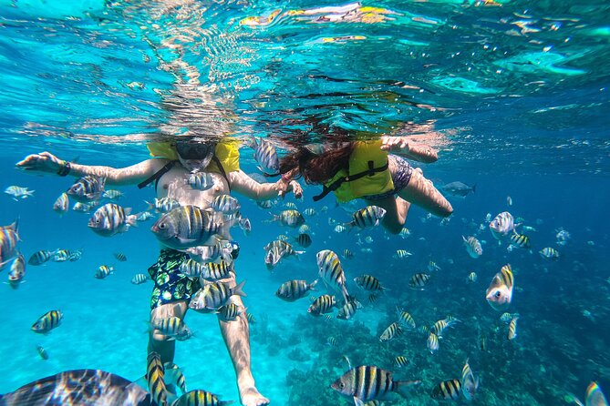 Boat and Snorkeling in West End (Blue Channel, The Aquarium, Turtle Crossing)