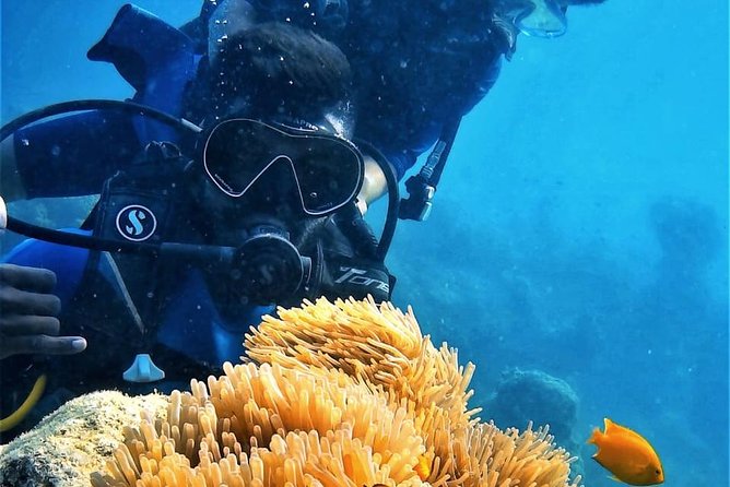Boat Scuba Diving at Neil Island - Good To Know
