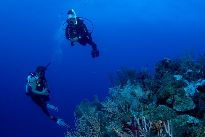BOAT SCUBA Tour in World-Class Dive Sites - Good To Know