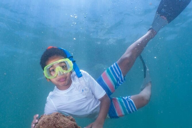 Boat Snorkeling Tour to Gilligans Island - Tour Overview