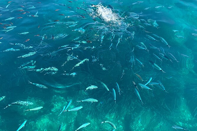 Boat Tour to Procidas Private Secret Beaches - Tour Highlights