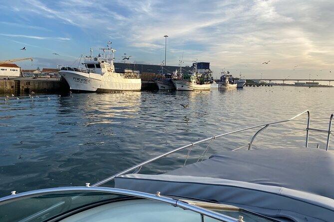Boat Trip and Barbecue in Costa Nova for up to 6 People - Good To Know