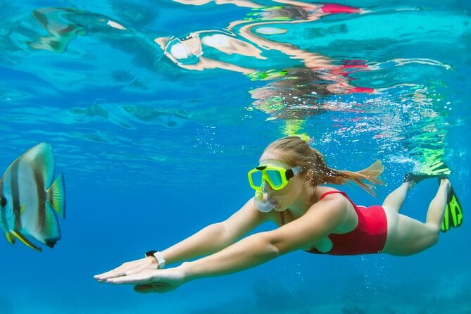 Boatride/Snorkeling and Margaritaville in Montego Bay Activity - Good To Know