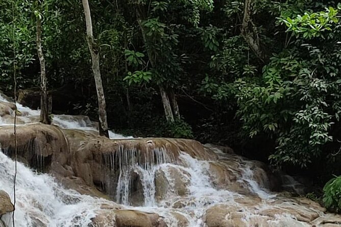 Bob Marley Nine Miles and Dunns River Tour From Montego Bay With Dtoursjamaica. - Good To Know