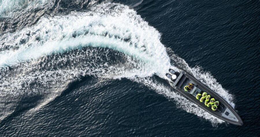 Bodø: RIB to Saltstraumen With a Sea Eagle Safari