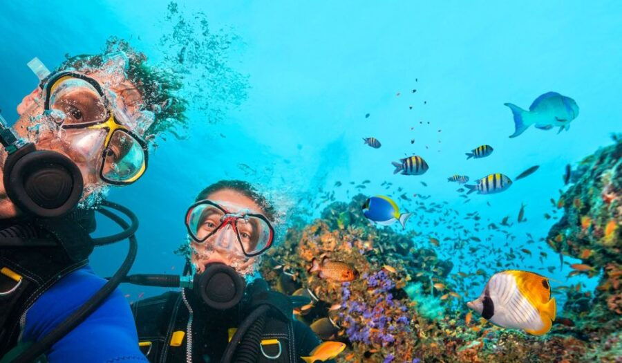 Bodrum: Scuba Diving Briefing & Diving Experience - Booking Details