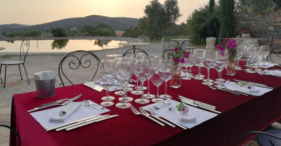Bodrum Vineyard Tour With Dinner and Wine Pairing