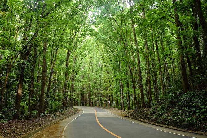 Bohol Countryside Day Tour From Cebu City or Mactan – Best Seller