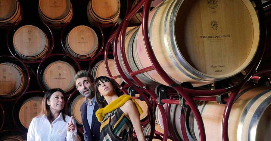 Bolgheri: Winery Tour With Wine Tasting - Good To Know