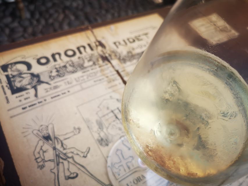 Bologna: City Center Guided Wine Walking Tour