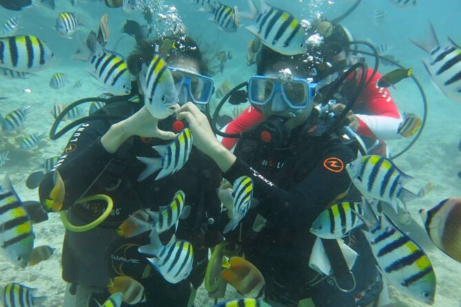 Boracay PADI Discover Scuba Diving