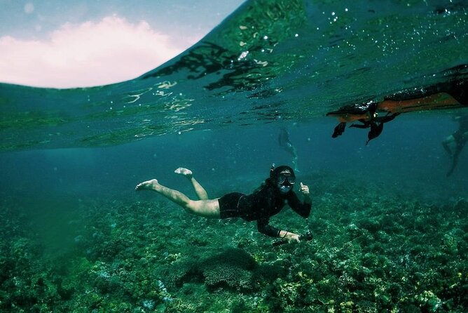 4 Best Snorkeling Experiences In Boracay