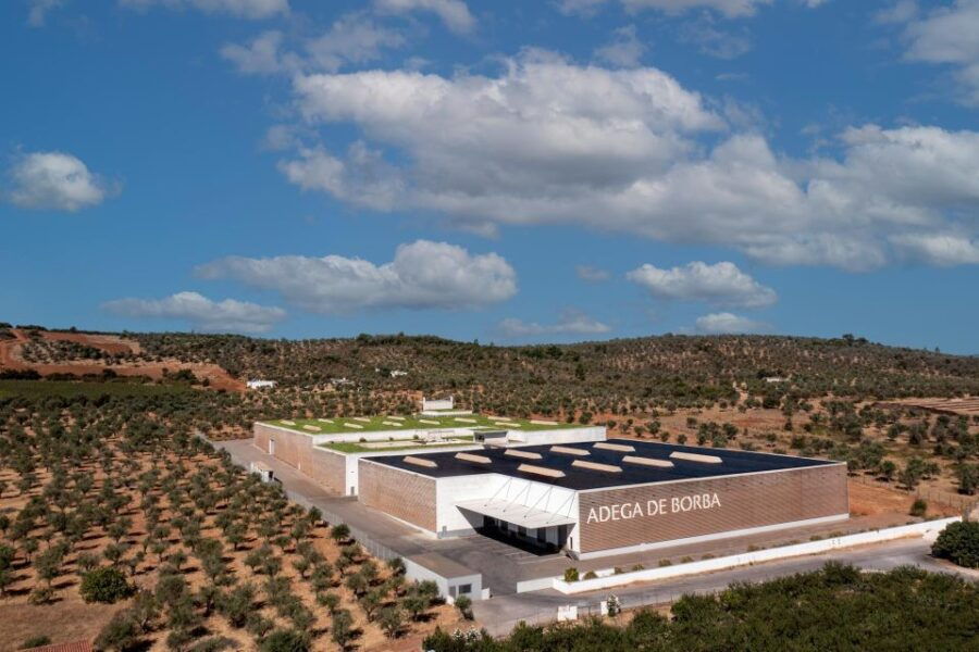 Borba: Winery Tours and Amphora Wine and Snacks Tasting - Good To Know