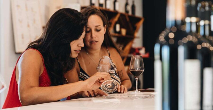 Bordeaux: Wine Tasting Masterclass With a Local
