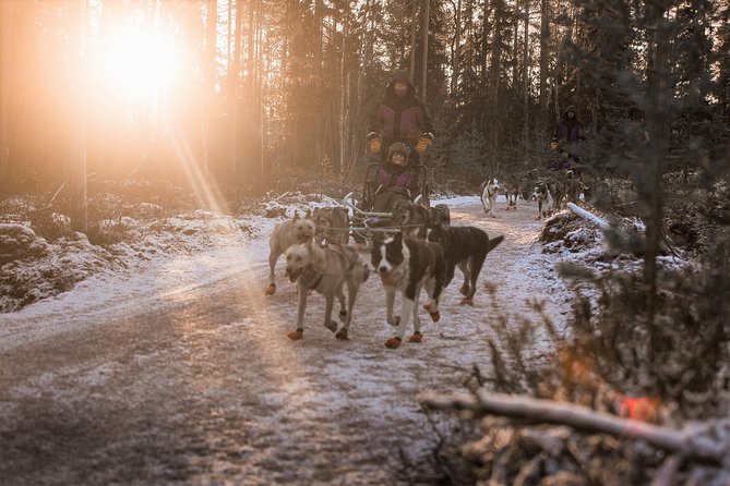 Born to Run Morning Self Driven Husky Tour in November - Husky Team Introduction