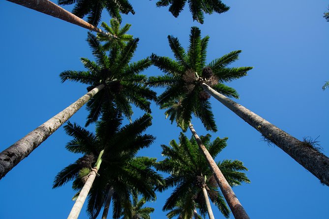 Botanical Garden and Parque Lage Tour Including Photo Shoot - Good To Know