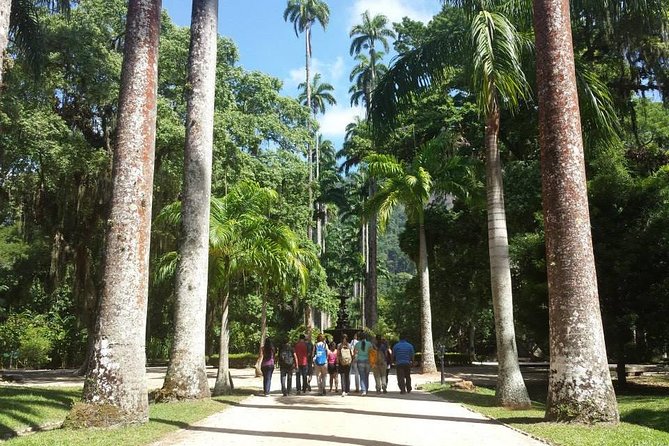 Botanical Garden and Tijuca Rainforest Jeep Tour - Good To Know