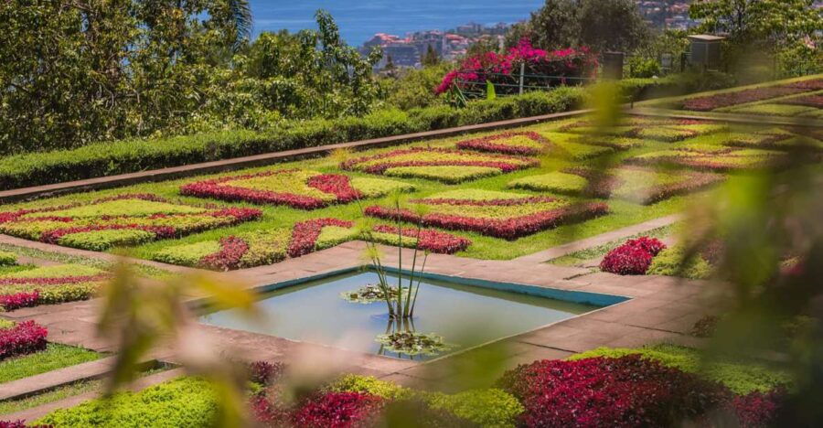 Botanical Garden & Funchal Old Town Private Tuk Tuk Tour