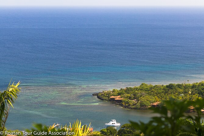 Botanical Paradise: Roatan’s Carambola Gardens & More