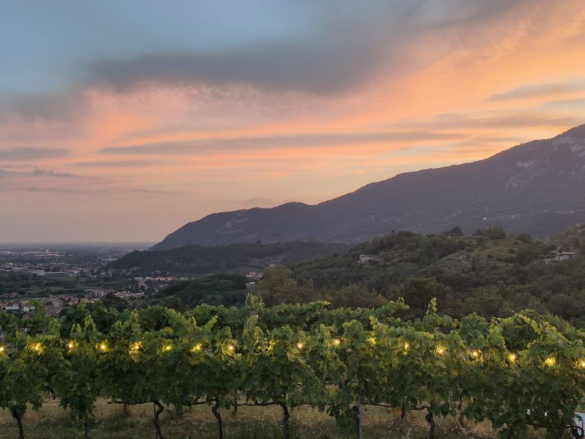 Botticino (Bs): Wine Tasting at Noventa - Good To Know