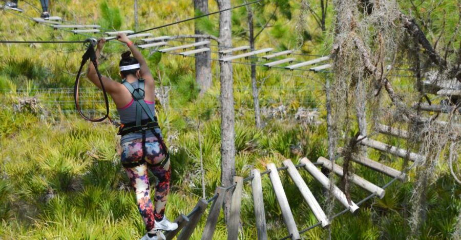 Bradenton: Adventure Course Entry Ticket
