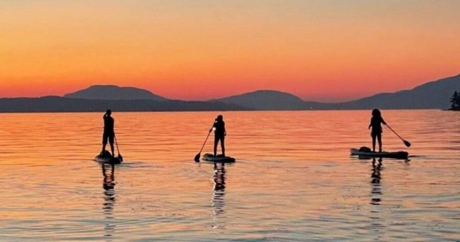 Brentwood Bay: Bioluminescence Tour - Good To Know