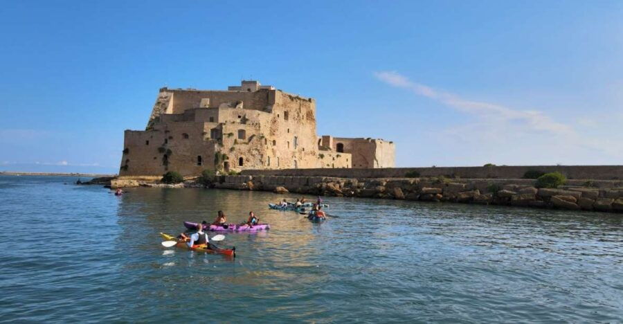 Brindisi: Kayaking Around Sant'Andrea Island & Giant Turtles - Good To Know