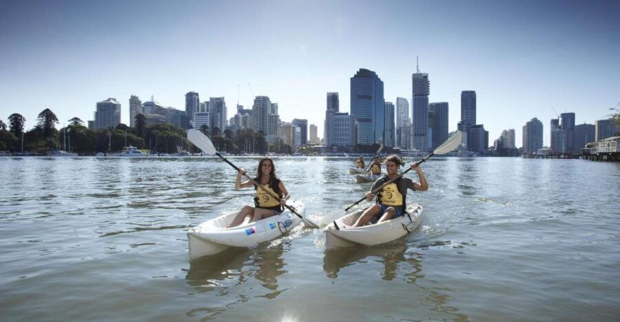 Brisbane: 2-Hour Kayak Hire on Brisbane River - Good To Know