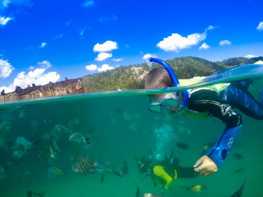 Brisbane: Moreton Island Day Tour With Snorkeling & Dolphins