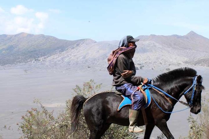 Bromo Panorama Tour to Avoid the Crowds - Start Malang // 1 Day Tour