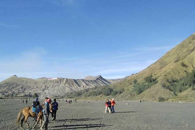 Bromo Sunrise Tour - Start Surabaya // 1 Day - Good To Know