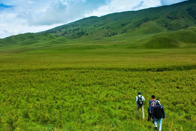 Bromo Tour Package: Midnight Bromo Open Trip From Malang