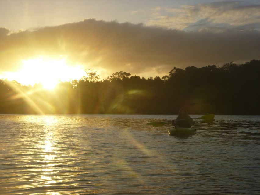 Brunswick Heads: Brunswick River Sunrise Nature Kayak Tour - Good To Know