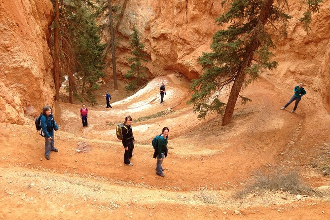 Bryce Canyon and Zion National Park Tour in Las Vegas - Good To Know