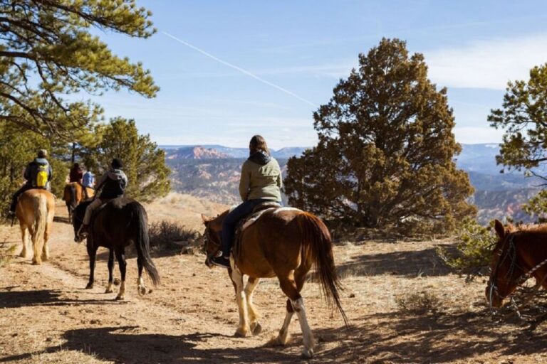 Bryce Canyon: Horseback Ride in the Dixie National Forest