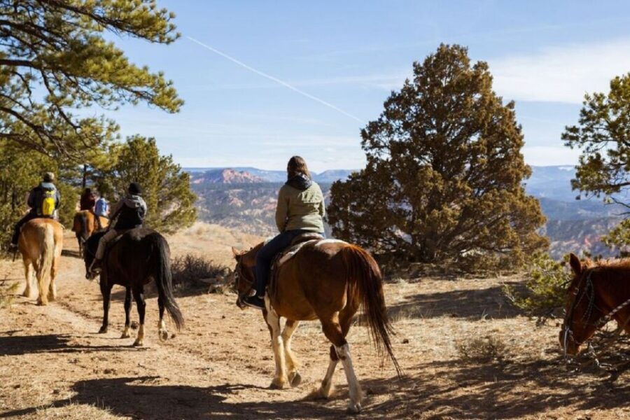 Bryce Canyon: Horseback Ride in the Dixie National Forest - Good To Know