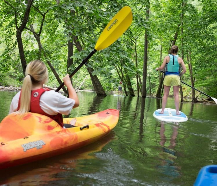 Bryson City: Fontana Lake Guided Kayak Tour - Good To Know