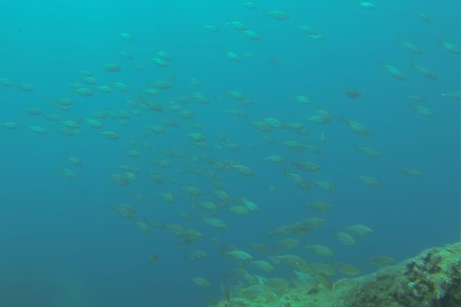 Bubble Maker (Scuba Diving for Children)