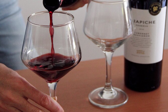 Buenos Aires: Small-Group Wine-Tasting Experience