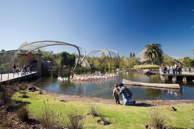 Buenos Aires: Temaiken Biopark Including Transfers - Good To Know