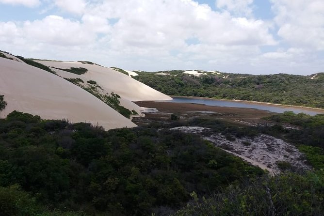Buggy Tour Along the North Coast (Genipabu)