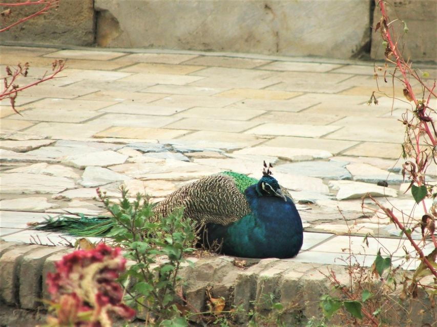 Bukhara Countryside Tour-Summer Residence & Nakshband Center - Good To Know