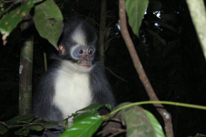 Bukitlawang-Tour 3days-2 Night Jungle Trekking(Including Rafting) - Good To Know