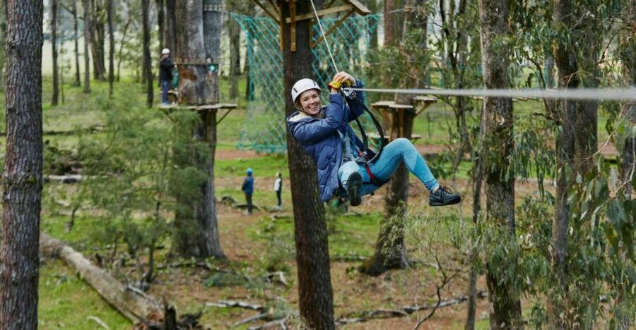 Busselton: Forest Adventure With Zip Lining and Rope Course - Good To Know