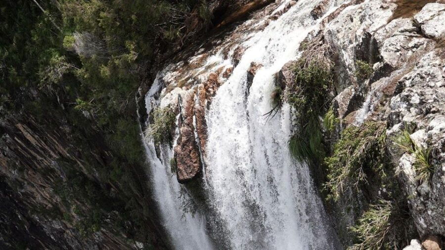 Byron Bay: Minyon Falls Full-Day Walking Tour - Good To Know