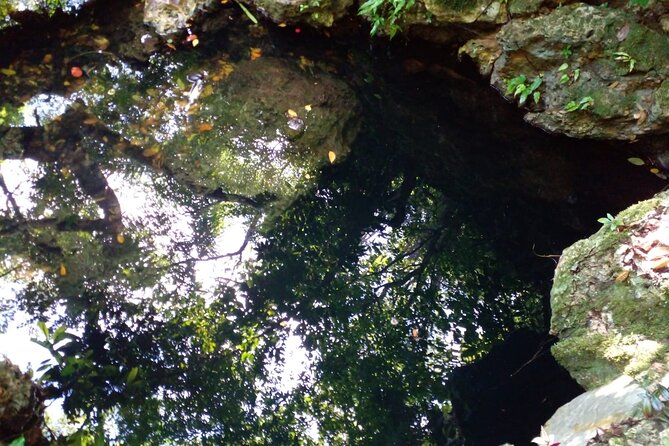 Cabarete Cave National Park Excursion for Cruisers Taino Bay