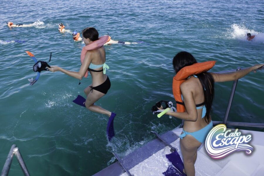 Cabo San Lucas: 3.5-Hour Snorkeling Tour