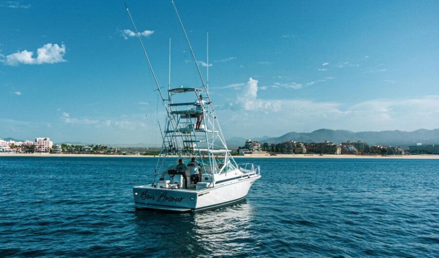 Cabo San Lucas: Arch Boat Tour Whale Watching Safari - Good To Know
