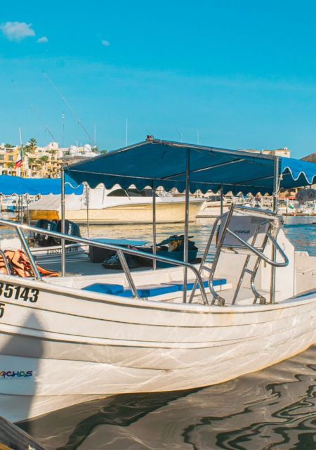 Cabo San Lucas: Arch Tour With Beach Landing