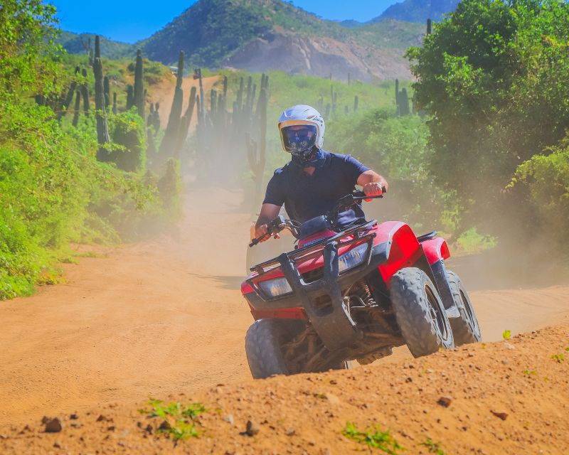 Cabo San Lucas: Beach and Desert ATV Adventure With Pickup